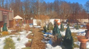 Снег тает быстро🌞 Много планов на дачный сезон 2026 г.🌸 #любимаядача