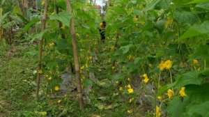 47.Мать-одиночка начинает новую жизнь в заброшенном доме