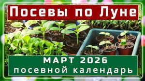 🍅ЛУННЫЙ ПОСЕВНОЙ КАЛЕНДАРЬ НА МАРТ 2026