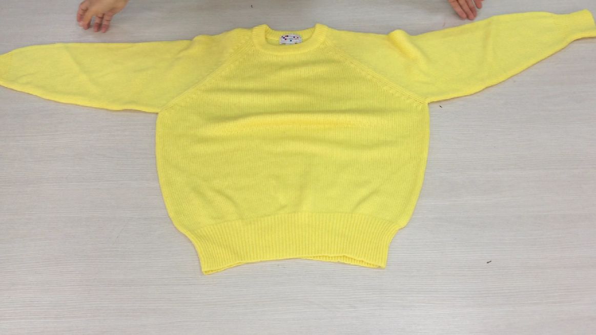 с583дж.1. Джемпера женские Канада