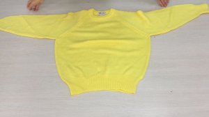 с583дж.1. Джемпера женские Канада