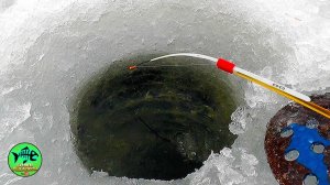 ВОЛОСЫ ВСТАЮТ ДЫБОМ КОГДА ТАКОЕ ВИДИШЬ. 🐟🐟🐟. . Ловля леща. Зимняя рыбалка 2026.