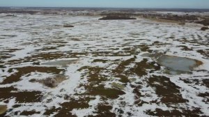 Придорожное поле 158-1, часть 2