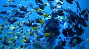 🏪«Экономика эмоций» меняет потребительские тренды в Китае