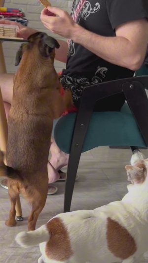 Каждое утро в нашем заведении начинается одинаково 😂