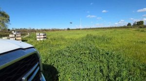 1000120715.mp4 2 марта начали делать отводки и что остается в семьях