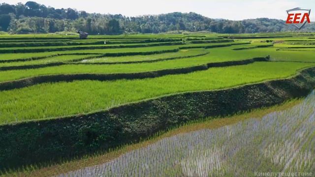 Остров Сумба.