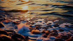 СУДЬБЫ КАРТЫ.