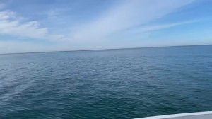 Едем на рыбалку в Сириус.