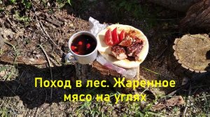 Поход в лес. Жаренное мясо на углях