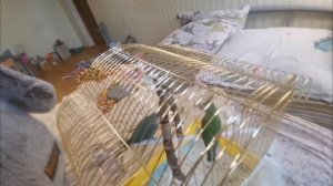 Басик за кадром