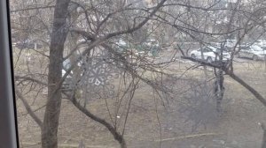 Целый день на кухне.