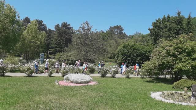 Всероссийский Детский Центр Орлёнок, 12 лагерей. Детский лагерь "Солнышко" - для малышей от 6 лет.