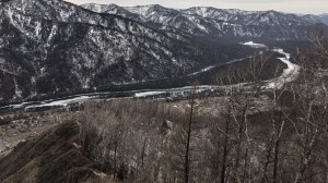 Посиделки на кухне. Праздники, праздники...