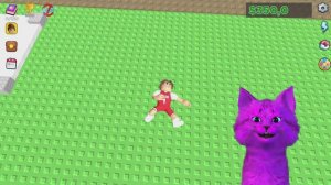 Как выжить одной ночью в лесу?