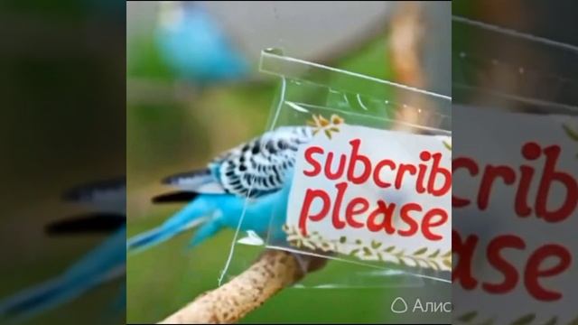 вот что я сгенерировал с помощью искусственного интеллекта все серии!