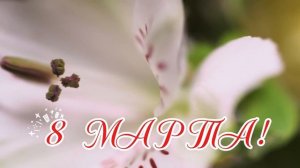 Фоновое видео на 8 марта "Цветочное настроение"