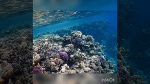 ЛЯПОТА!!! Риф Park Regency Sharm El Sheikh Resort!