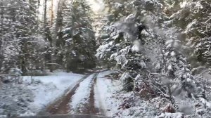 Осенняя покатушка на УАЗе по первому снегу в лесу под расслабляющую музыку для концентрации