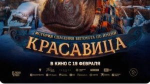 «Красавица»