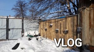 ГОТОВЛЮ ХЛЕБ В КЛЯРЕ|ОБЫЧНЫЙ ДЕНЬ|ВЛОГ|ИЗ ГОРОДА В ДЕРЕВНЮ