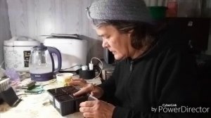 Посеяла с вами цветочки.