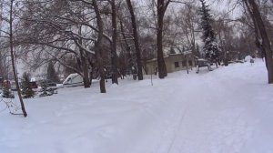 05-03-2026 прогулка по парку Пушкина