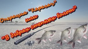Операция "КАРАГАЧ" или "В ДЕБРЯХ СТЕПНЫХ БОЛОТ"
