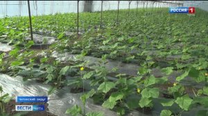 5 марта «Вести-Чита» в 21:10