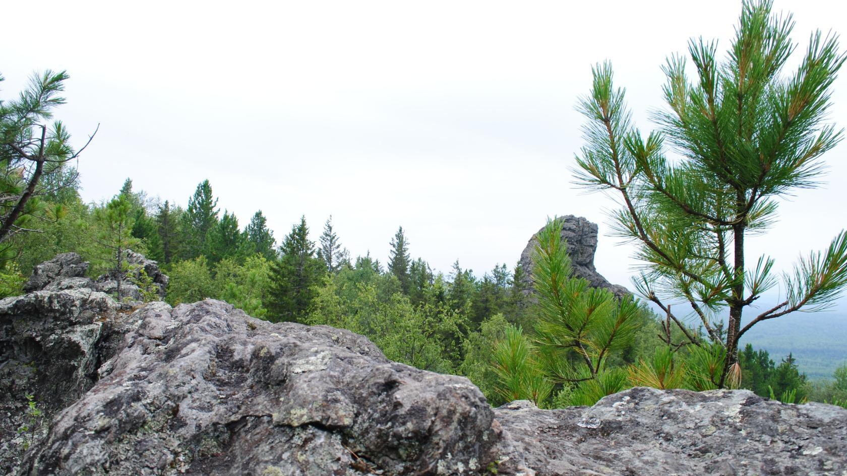 События на пороге! Что очень скоро начнет происходить в Вашей жизни?🤔🌹