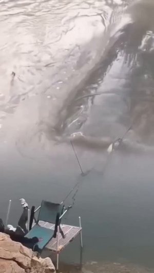 Клип @zatropheem