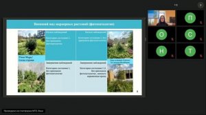 Озеленение эксплуатируемых крыш на примере благоустройства на территории Московской агломерации