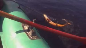 НАШЛИ ЗАБЫТОЕ С 1961 ГОДА ОЗЕРО ПОЛНЫЕ СЕТИ ЩУКИ!