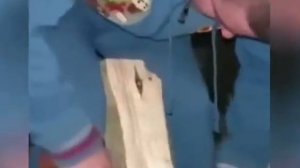 Видео от Походы Выживание Бушкрафт