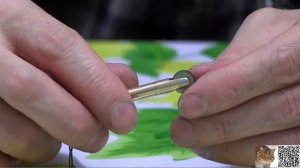 Автоогниво