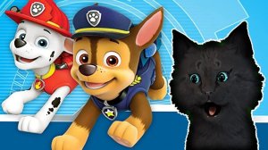 СУПЕР КОТ И СУПЕР СОБАКИ СПАСАЕМ ЦЫПАЛЕТУ #3 🐱 Mighty Pups Save Adventure Bay