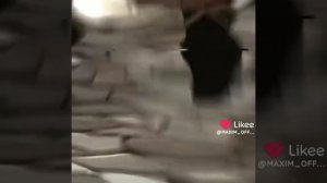 Илья Муромец эдит