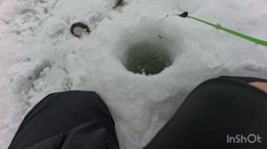 начало рыбалки было хорошее , но провалился под лед!!!