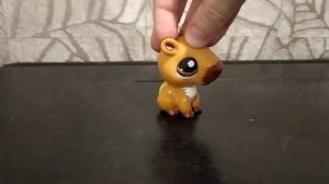 показывай всех своих LPS