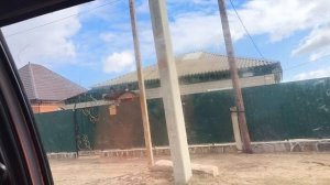 Что отправили?. Скоро в огород!