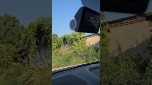 Краснодарский край, г. Горячий Ключ, СПК «Поместье, Поместье 2»