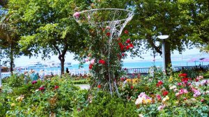 Геленджик фонтаны и цветы