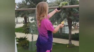 Что происходит в пригороде Дубая 4 марта 2026 года.