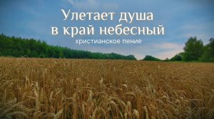 Улетает душа в край небесный | ХРИСТИАНСКАЯ ПЕСНЯ