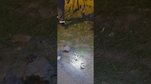 7 часов ждала аварийную бригаду