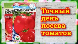 Когда СЕЯТЬ ТОМАТЫ на рассаду в 2026 году, самые благоприятные дни