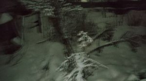 17_Рождество