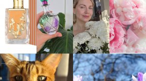 JL Luxe 💐Alhambra Carrot cake 🥕 Супер дешёвые ароматы City Sexy ☺️ весенняя глупая болтовня