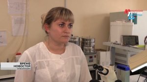 Волгоградцам дали советы, как выбрать качественные цветы и продлить жизнь букету