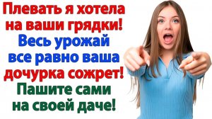 Твоя работа подождет! Теперь пусть сама жрёт свои огурцы! | Семейные Драмы | Жизненные Истории